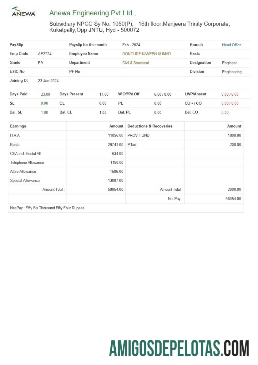 Realista Modelo de recibo de pagamento da Anewa Engineering em formatos Word e PDF.pdf, 1